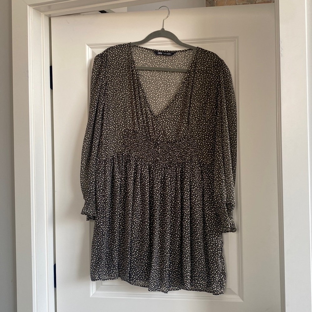 ZARA Sheer Polka Dot Mini Dress